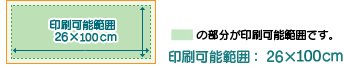 アルガのオリジナルスポーツタオルの印刷可能範囲